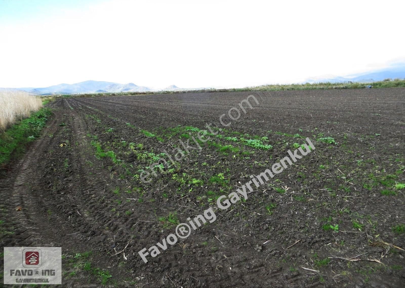 Bergama Aşağıkırıklar | 4.802 M2 Düz Ova | Satılık Tarla - Görsel 9