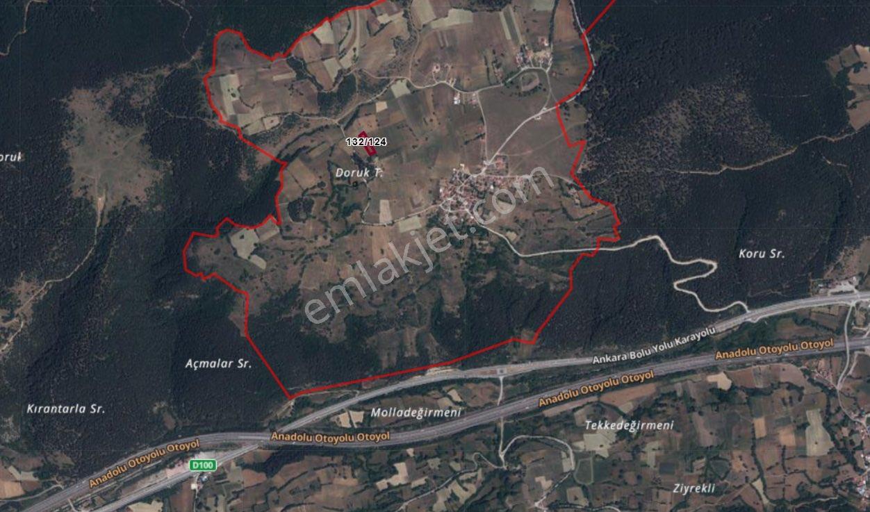 Bolu Merkez Yenigüney Köyü Tarla - Görsel 4