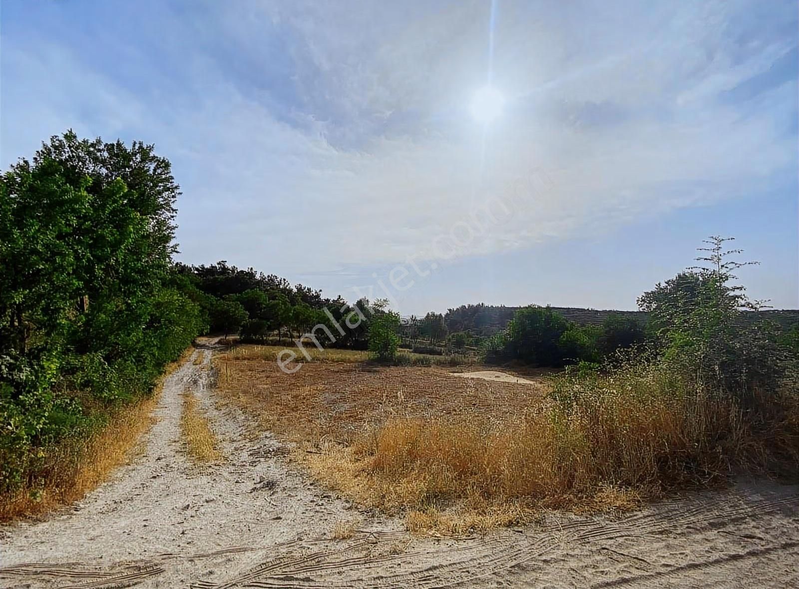 Küçükyeni Mah.950m² Arsalı Ahşap Ev Ve İki Adet Tarla Satılık - Görsel 8