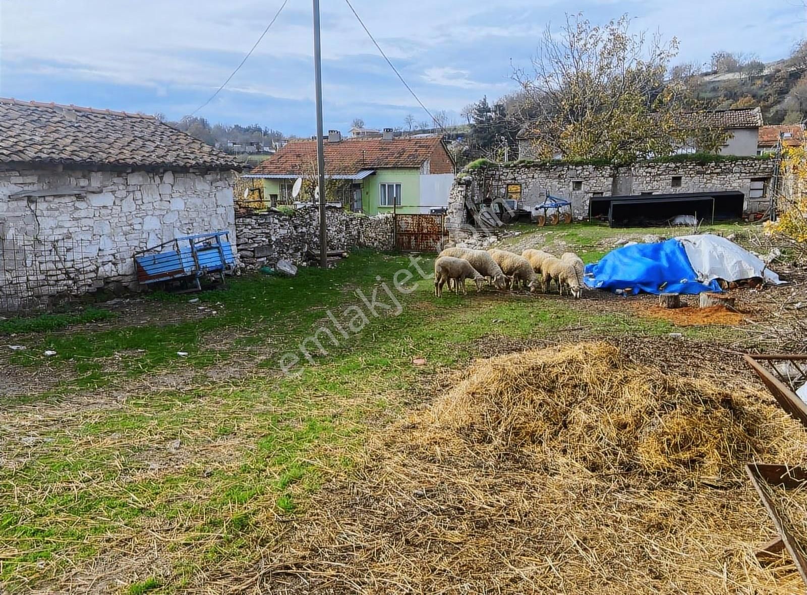 Küçükyeni Mah.950m² Arsalı Ahşap Ev Ve İki Adet Tarla Satılık - Görsel 6
