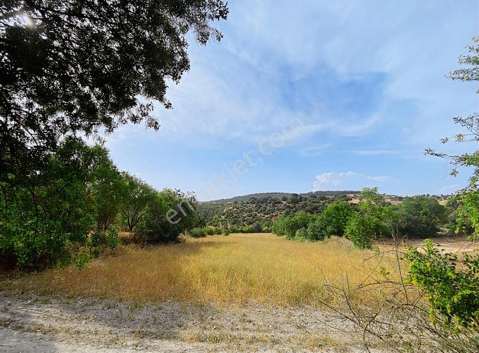 Küçükyeni Mah.950m² Arsalı Ahşap Ev Ve İki Adet Tarla Satılık - Görsel 4