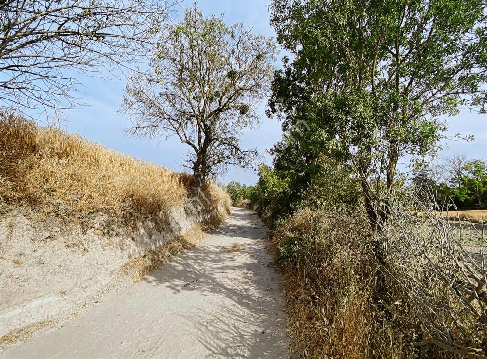 Küçükyeni Mah.950m² Arsalı Ahşap Ev Ve İki Adet Tarla Satılık - Görsel 16