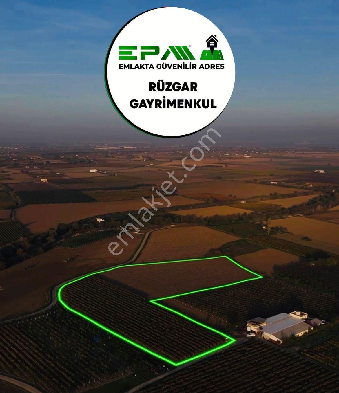 Manisa Şehzadeler Şehitler Mah. 20650 M2 Satılık Tarla - Görsel 5