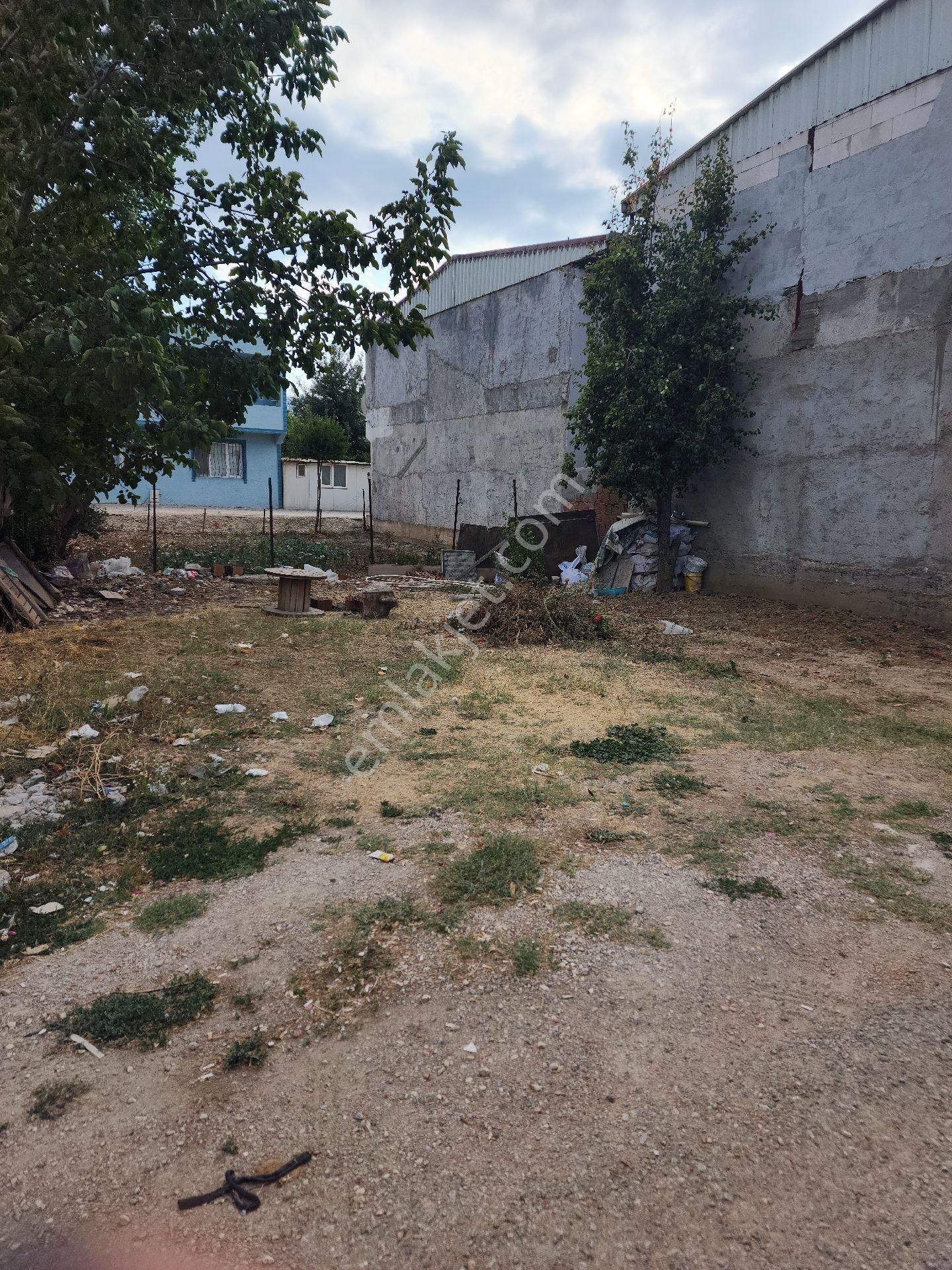 Yatırımlık Veya Ev Yapılabilir İskurcağim İcin Satılıktır