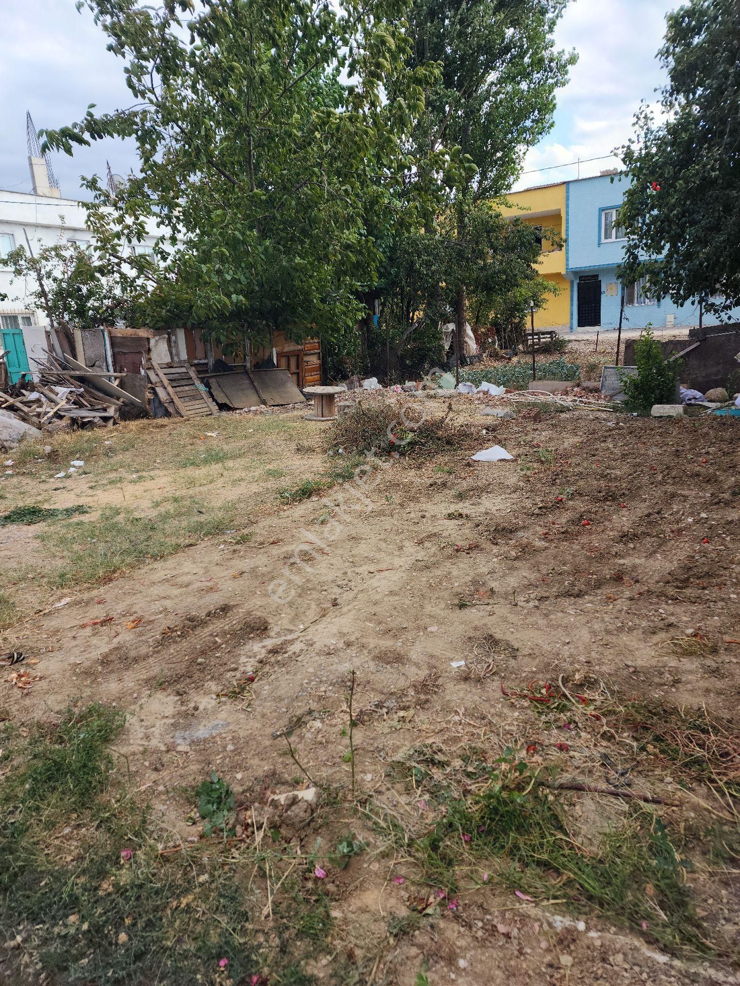 Yatırımlık Veya Ev Yapılabilir İskurcağim İcin Satılıktır - Görsel 5