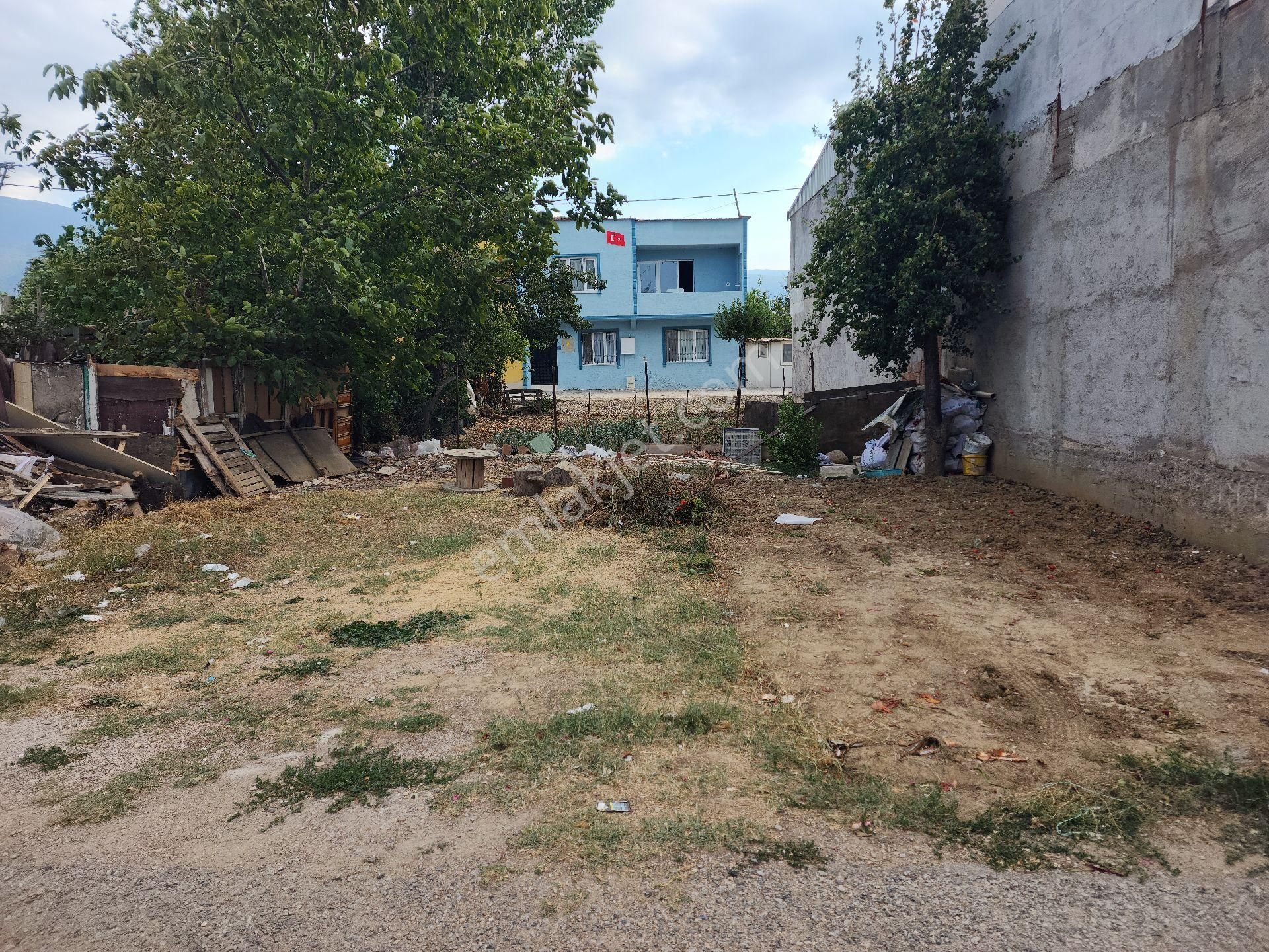 Yatırımlık Veya Ev Yapılabilir İskurcağim İcin Satılıktır - Görsel 4