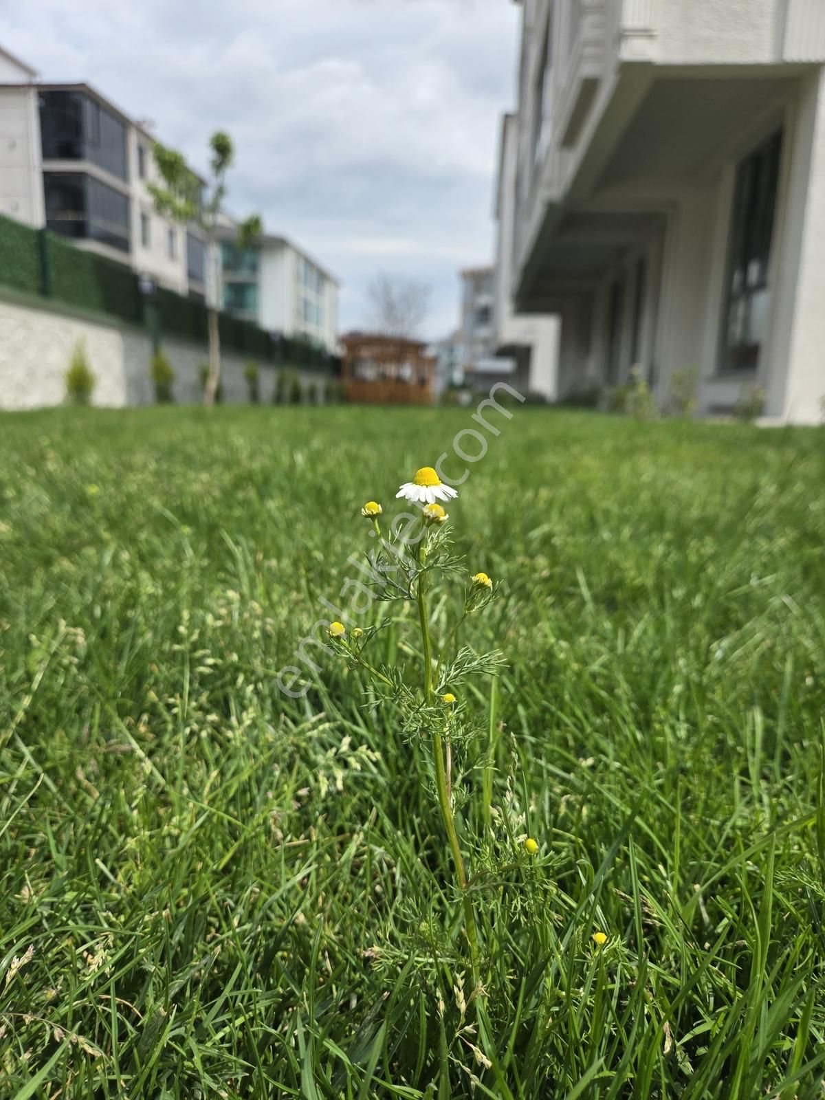 Valley Realty | Rumeli Mah.de Sıfır, Yüksek Giriş 2+1 Site İçi