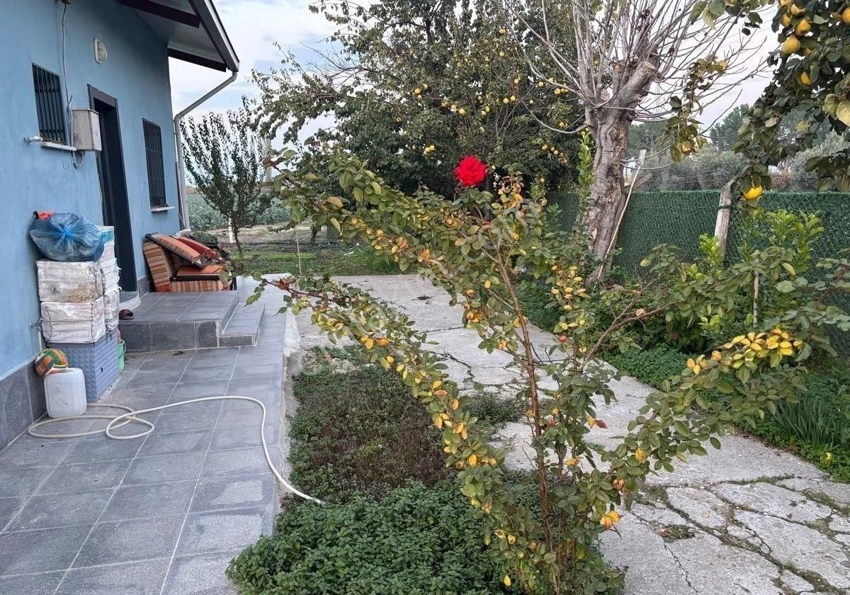 Manisa Salihlide Yolkenarı İçinde 80m2 Evi Ve Hertürlü Meyvenin Olduğu 1885m2 Tektapu Arazi - Görsel 17