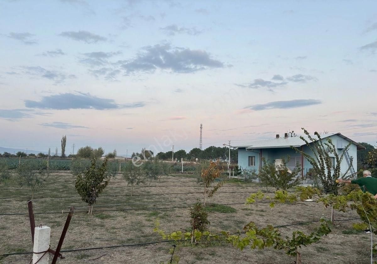 Manisa Salihlide Yolkenarı İçinde 80m2 Evi Ve Hertürlü Meyvenin Olduğu 1885m2 Tektapu Arazi - Görsel 15