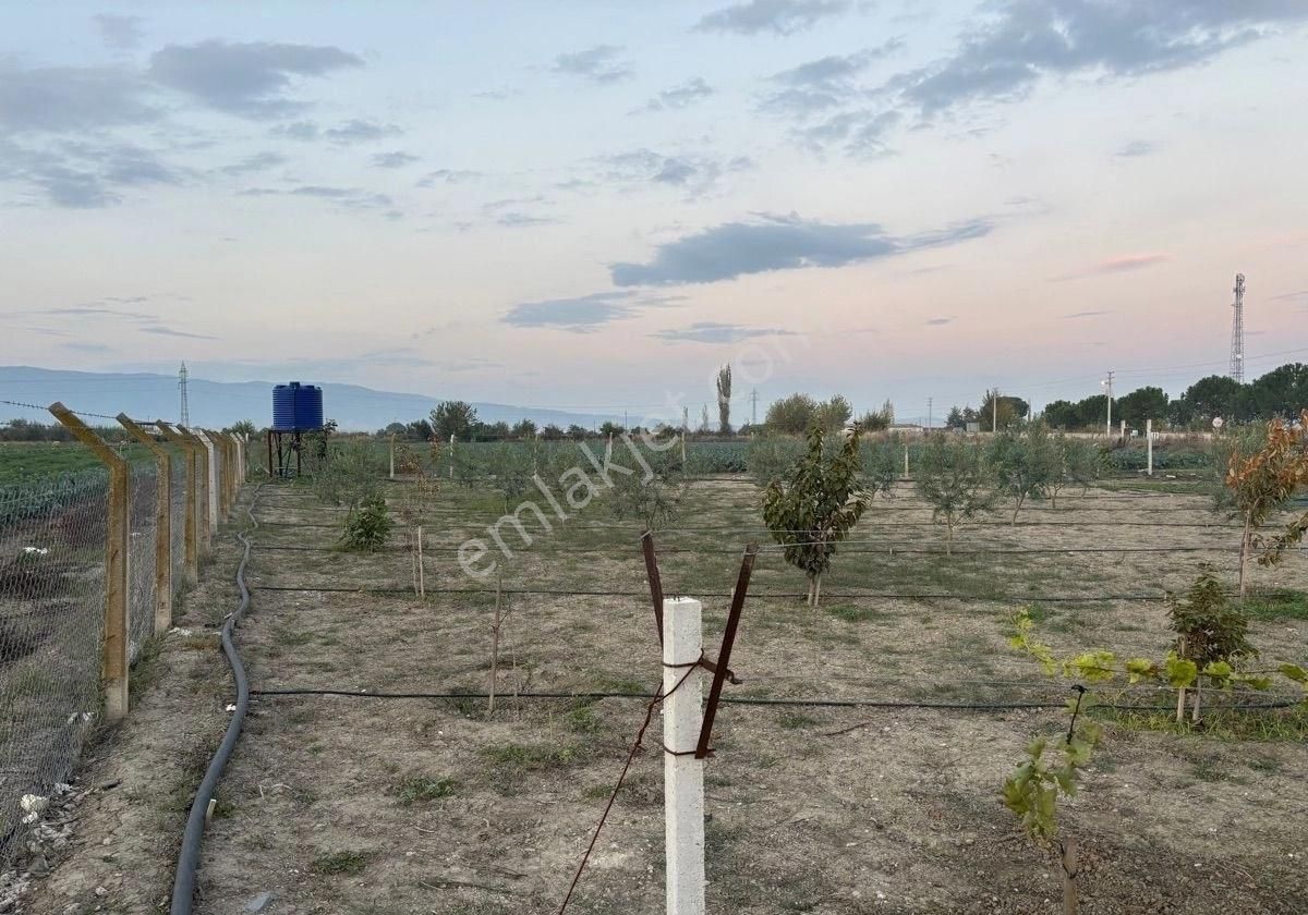 Manisa Salihlide Yolkenarı İçinde 80m2 Evi Ve Hertürlü Meyvenin Olduğu 1885m2 Tektapu Arazi - Görsel 18