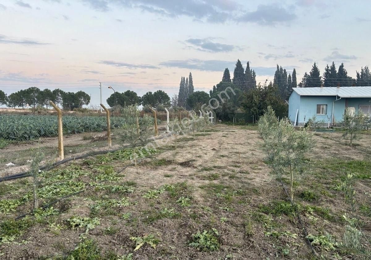 Manisa Salihlide Yolkenarı İçinde 80m2 Evi Ve Hertürlü Meyvenin Olduğu 1885m2 Tektapu Arazi - Görsel 25