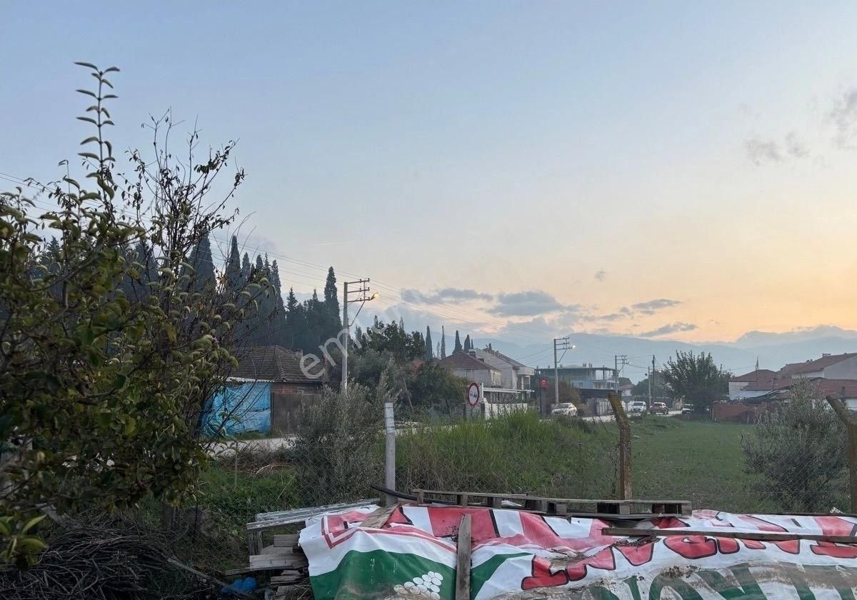 Manisa Salihlide Yolkenarı İçinde 80m2 Evi Ve Hertürlü Meyvenin Olduğu 1885m2 Tektapu Arazi - Görsel 10