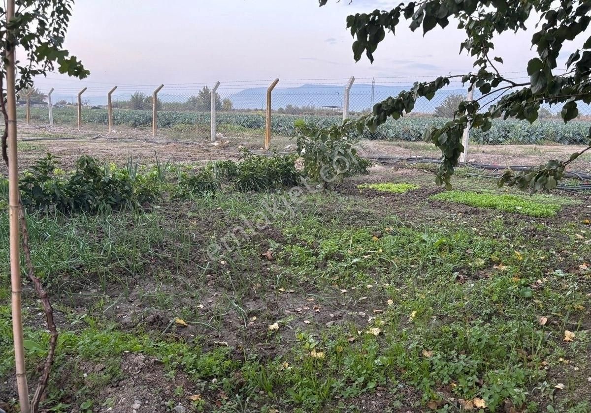 Manisa Salihlide Yolkenarı İçinde 80m2 Evi Ve Hertürlü Meyvenin Olduğu 1885m2 Tektapu Arazi - Görsel 14