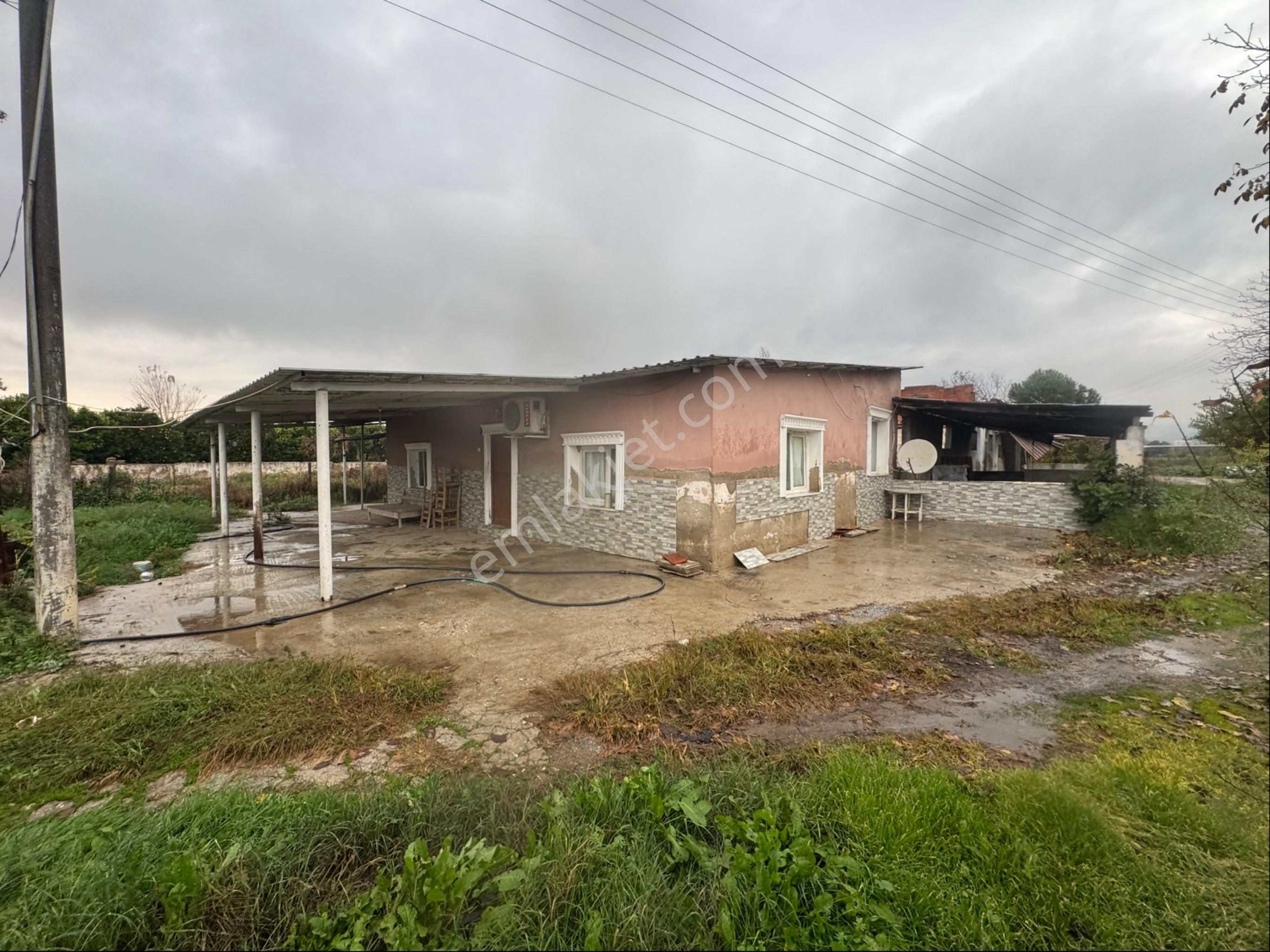 Aydın Nazilli İsabeyli Mahallesinde Satılık Çiftlik - Görsel 3