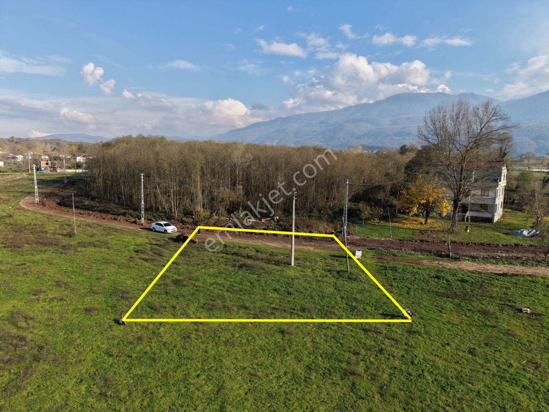Emlakevim - Sakarya Hendek Sarıyer Mah.de Satılık İmarlı Arsa - - Görsel 11