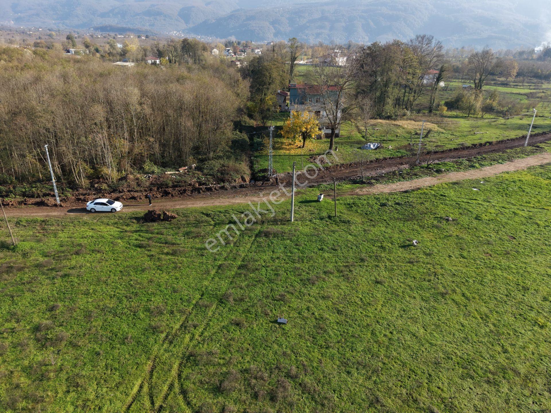Emlakevim - Sakarya Hendek Sarıyer Mah.de Satılık İmarlı Arsa - - Görsel 18