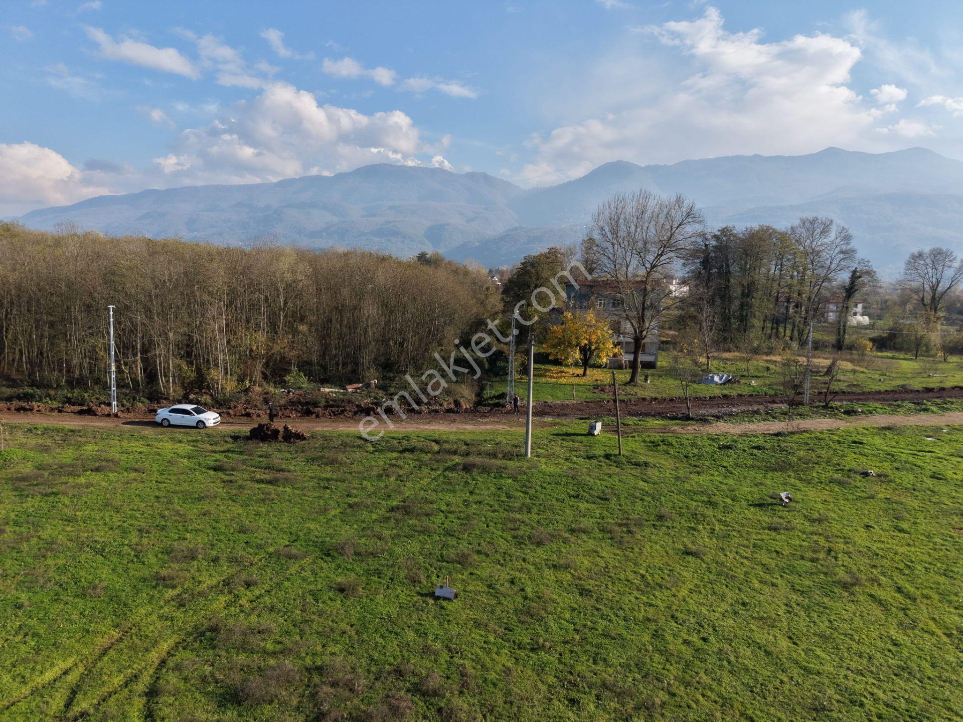 Emlakevim - Sakarya Hendek Sarıyer Mah.de Satılık İmarlı Arsa - - Görsel 12