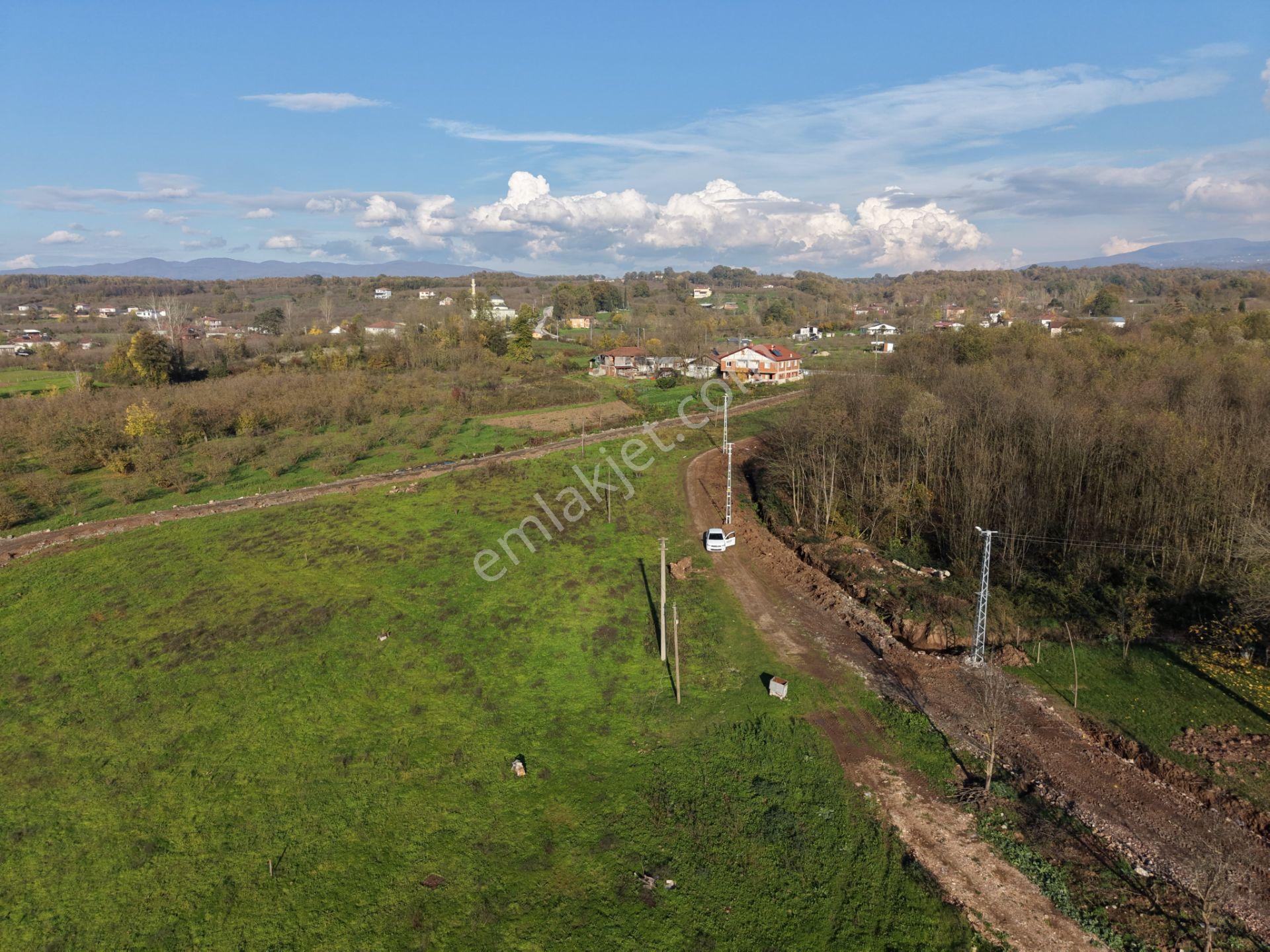 Emlakevim - Sakarya Hendek Sarıyer Mah.de Satılık İmarlı Arsa - - Görsel 9