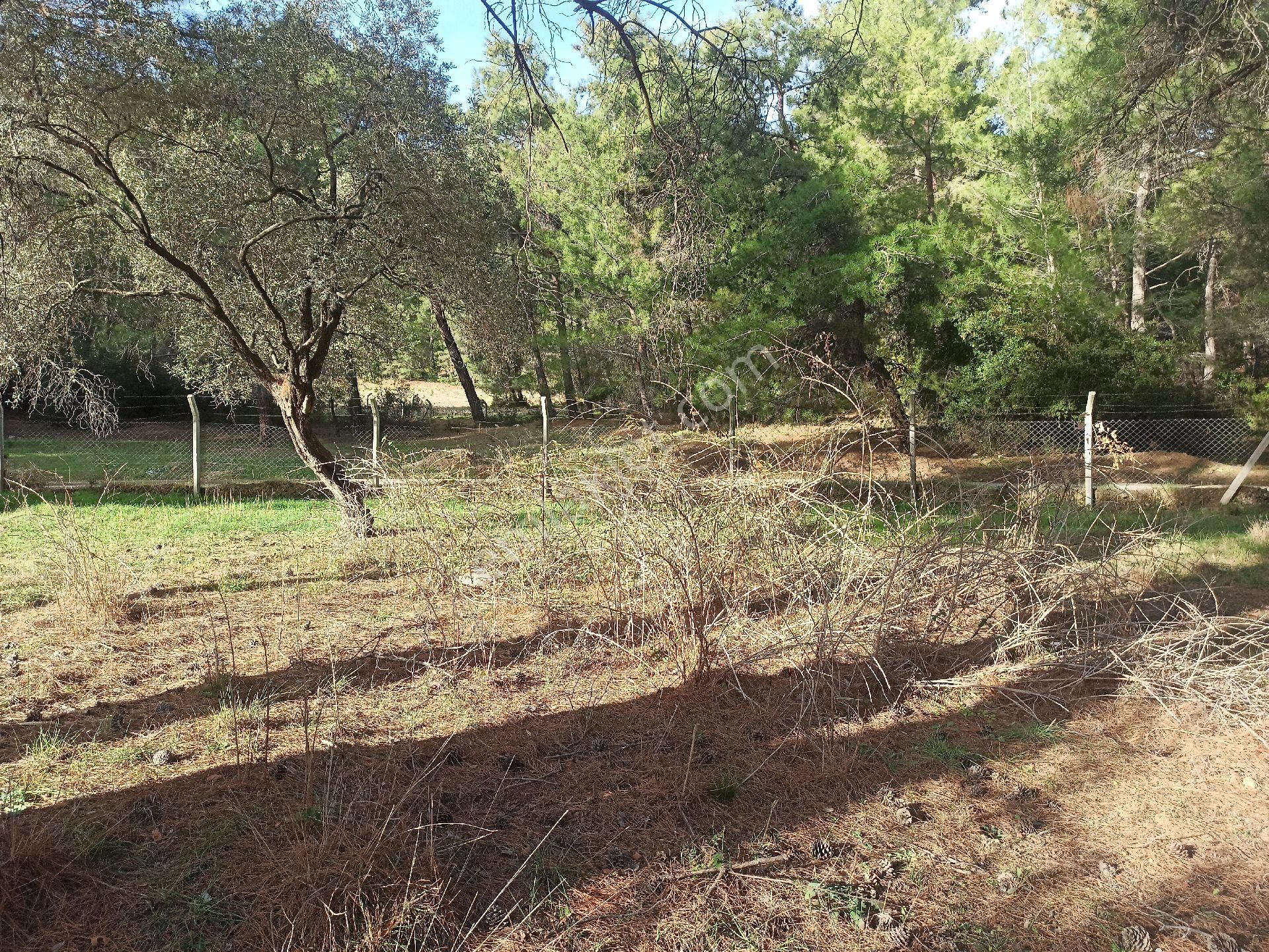 Buca Doğancılar Köyü Müstakil Tapu Köşe Parsel Satılık Tarla - Görsel 12