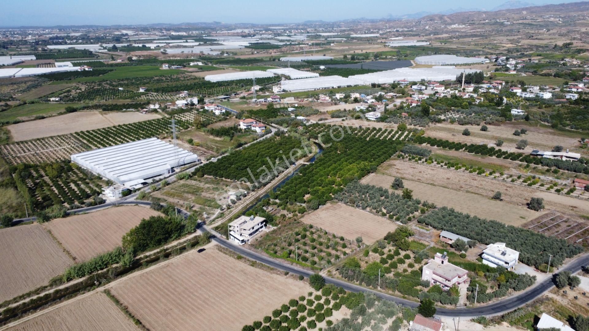 İdamax'tan Yeniköy'de Tek Tapu Satılık Portakal Bahçesi - Görsel 6