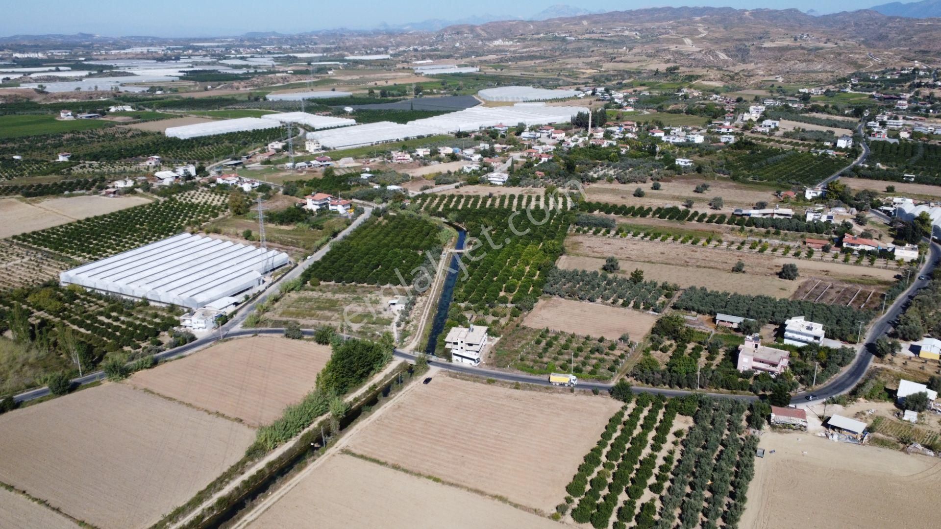 İdamax'tan Yeniköy'de Tek Tapu Satılık Portakal Bahçesi - Görsel 7