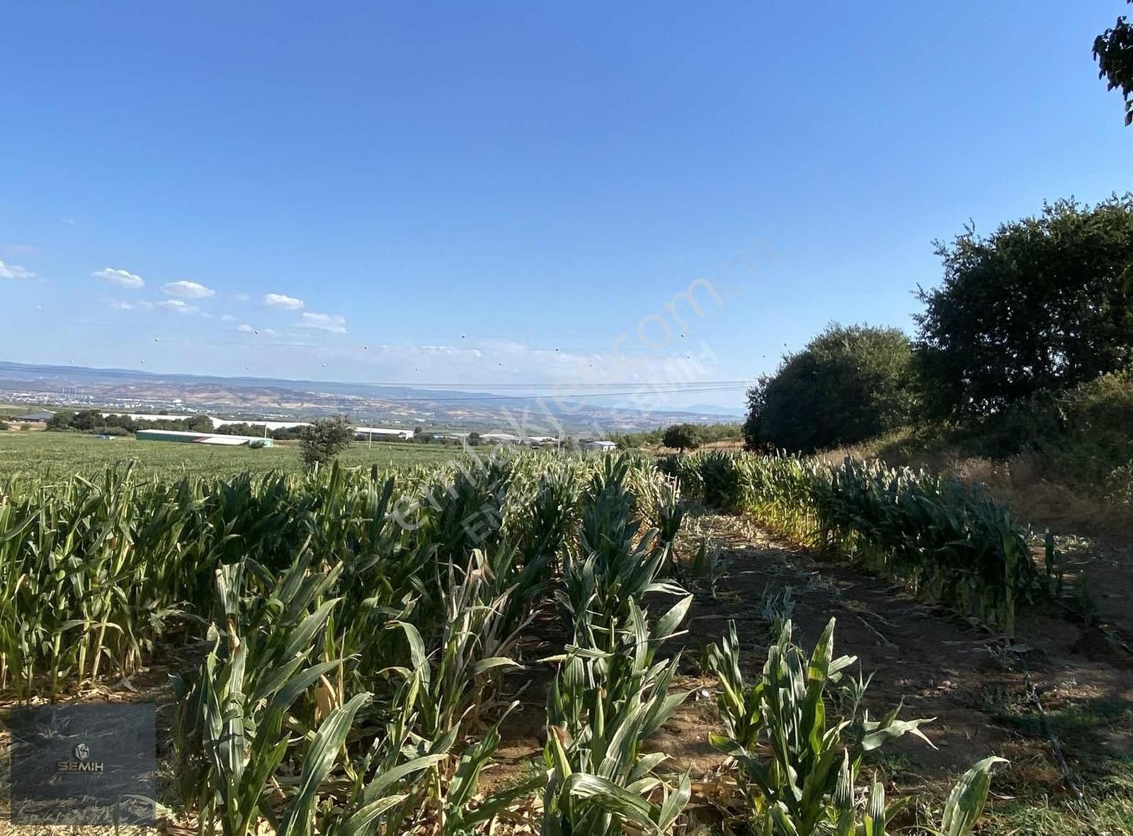 Semih'den Demirboğa Şehir Manzaralı Yol Kenarı Kelepir Arazi - Görsel 2
