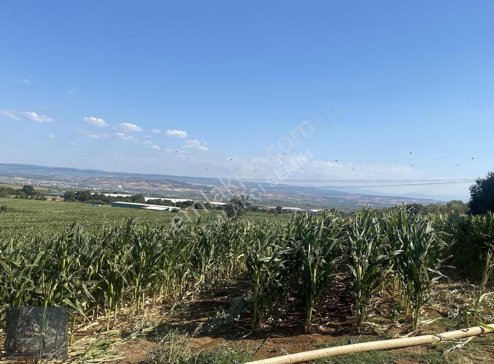 Semih'den Demirboğa Şehir Manzaralı Yol Kenarı Kelepir Arazi