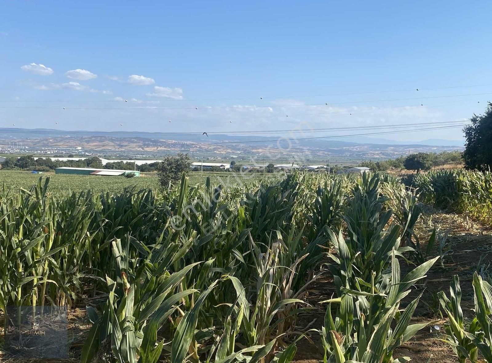 Semih'den Demirboğa Şehir Manzaralı Yol Kenarı Kelepir Arazi - Görsel 7
