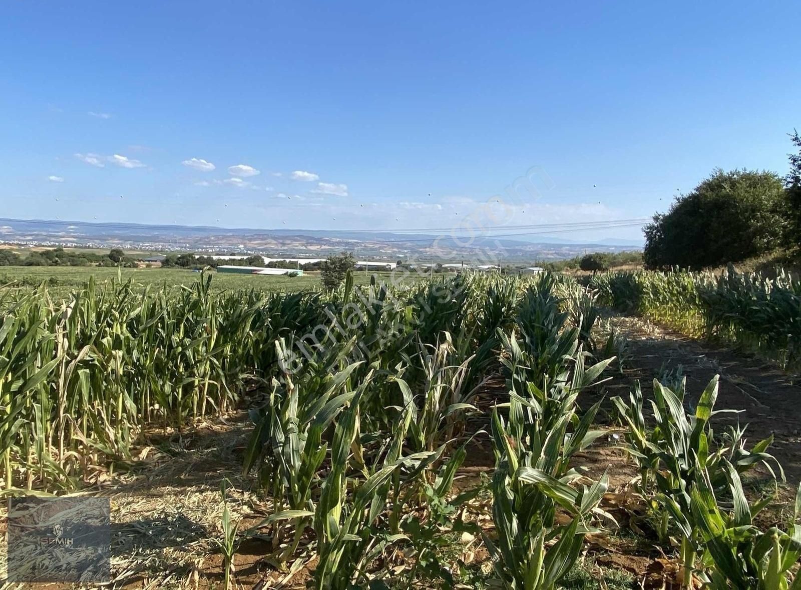 Semih'den Demirboğa Şehir Manzaralı Yol Kenarı Kelepir Arazi - Görsel 11