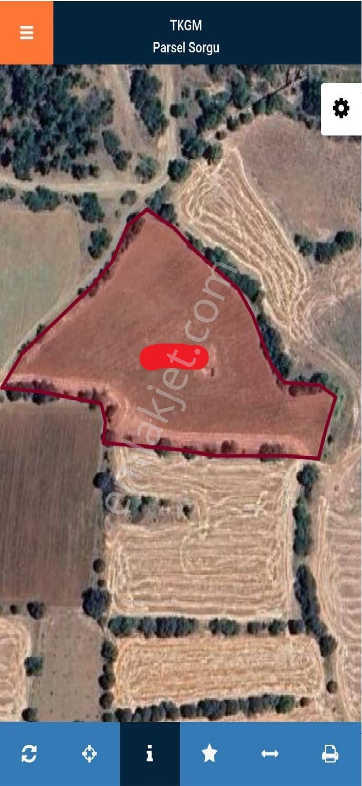 Akalanda Verimli Sulak 7 Dönüm Satılık Tarla