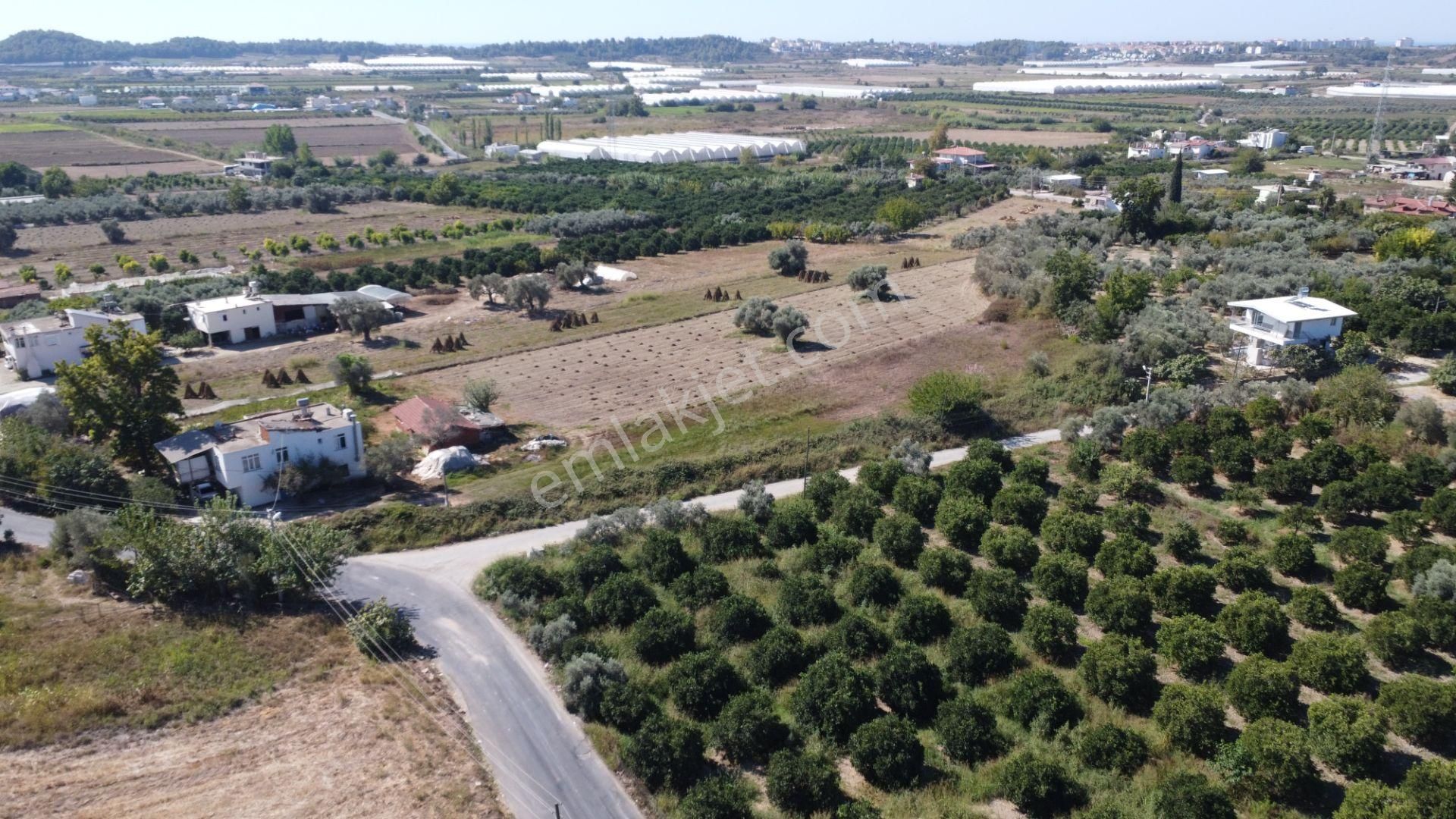 İdamax'tan Yeniköy'de Satılık Tarla - Görsel 2