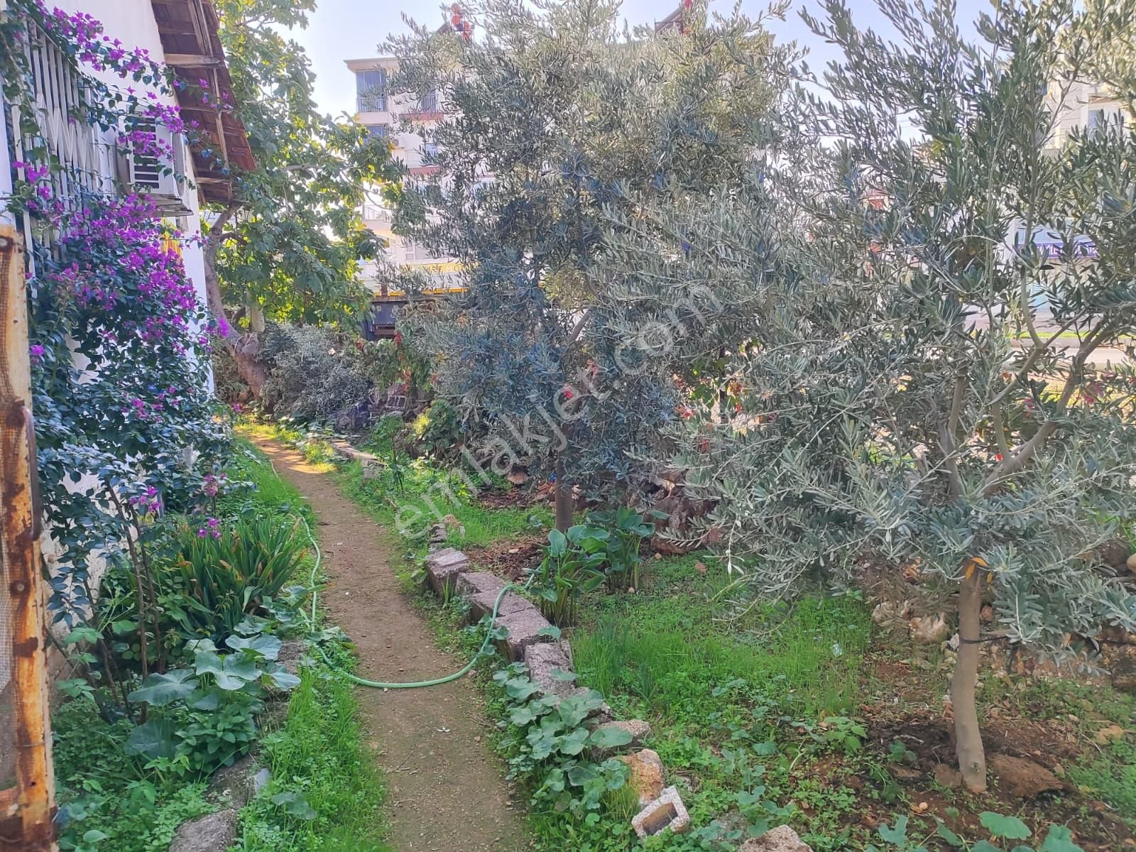 Yatırıma Uygun Kaçırılmayacak Müstakil Ev Hisseli Köşe Parsel - Görsel 26