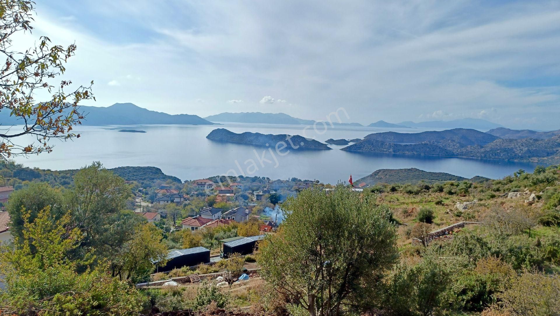 Joker: Marmaris Söğüt Panoramik Deniz Manzaralı Tarla - Görsel 5