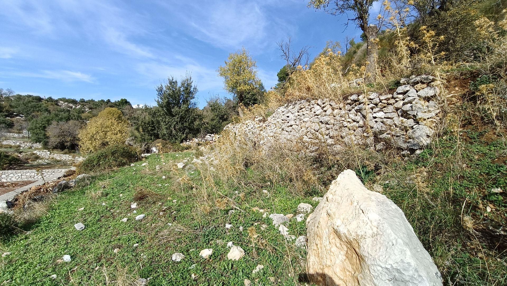 Joker: Marmaris Söğüt Panoramik Deniz Manzaralı Tarla - Görsel 6