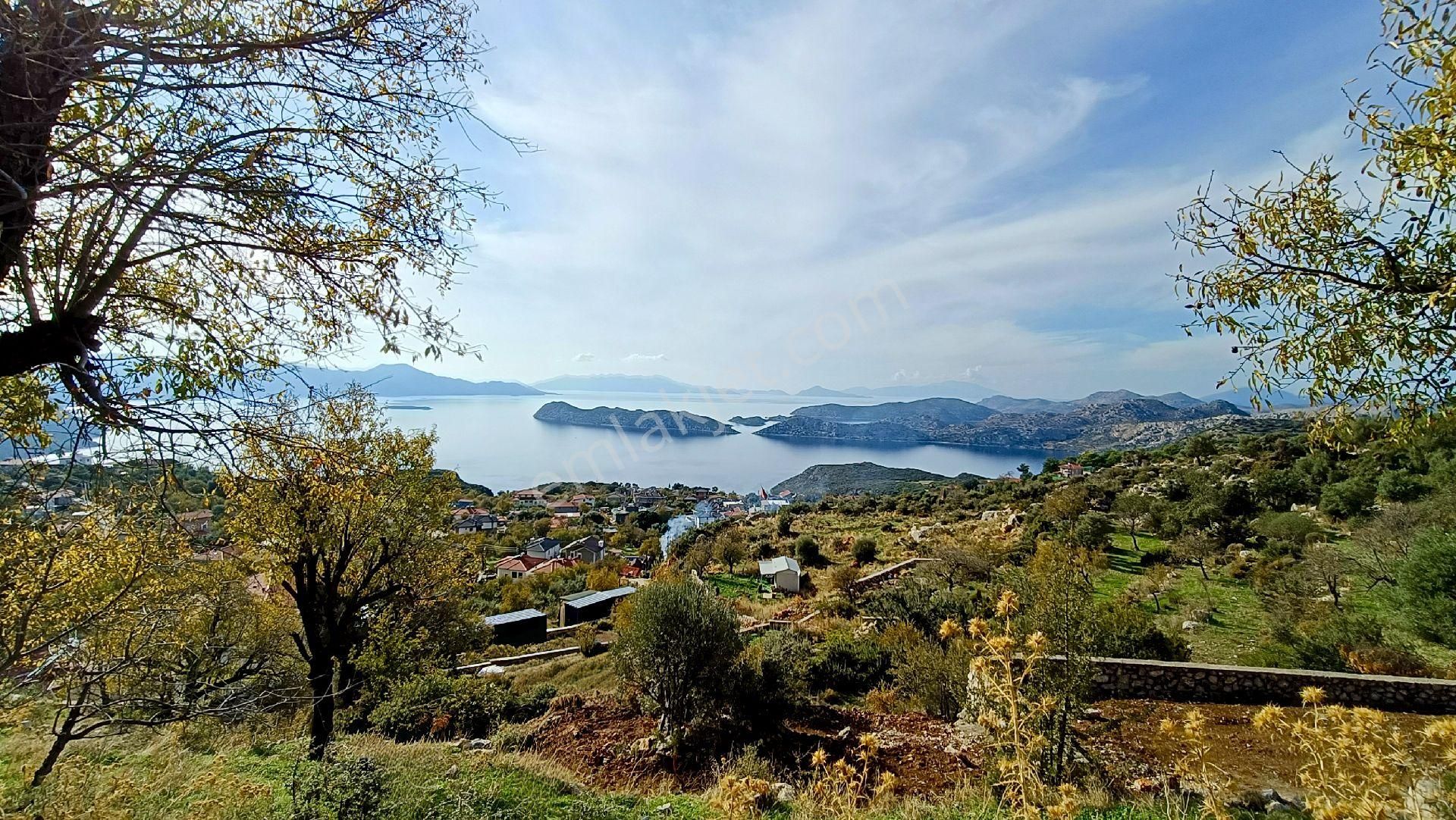 Joker: Marmaris Söğüt Panoramik Deniz Manzaralı Tarla - Görsel 7