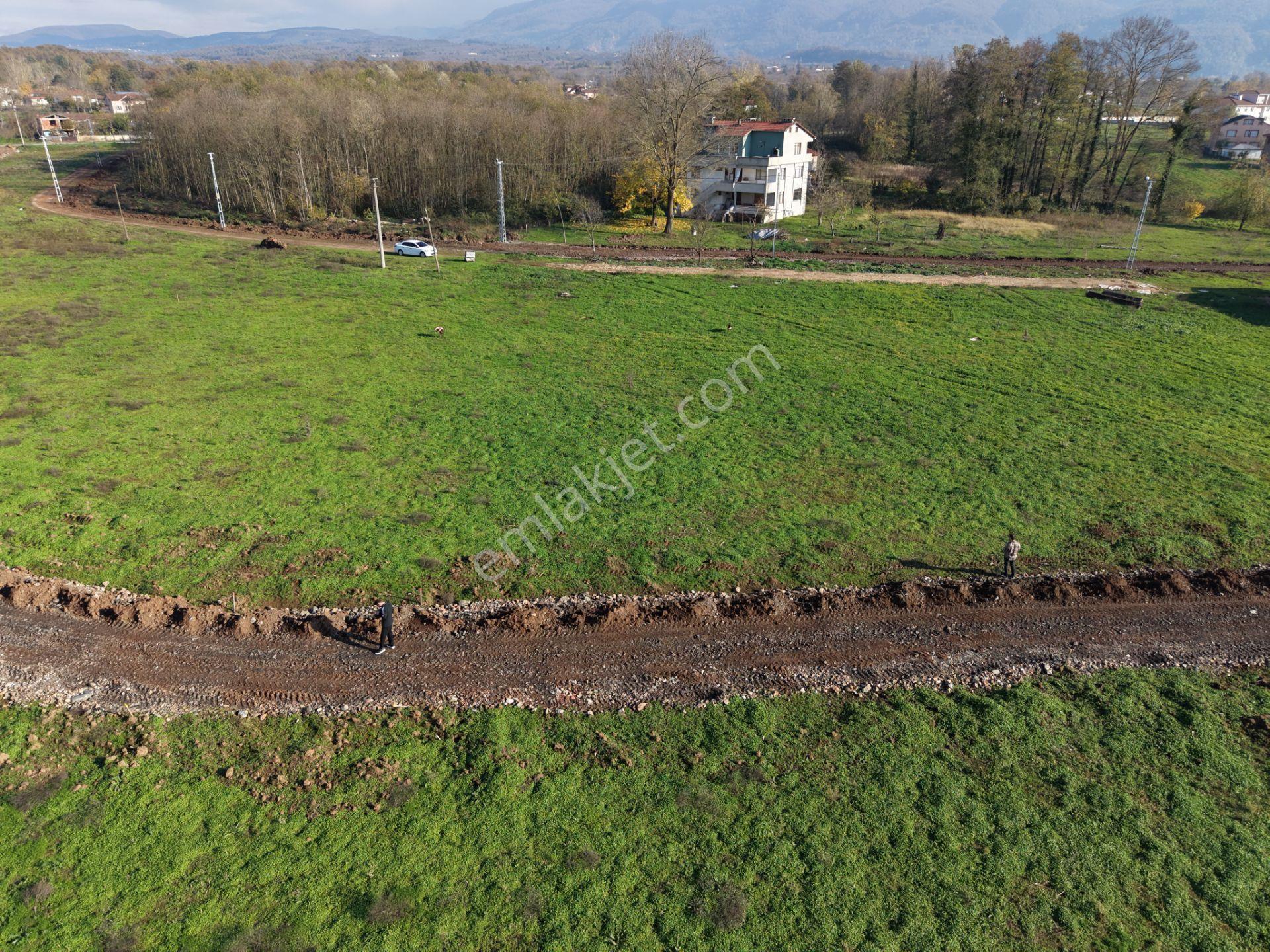Emlakevim - Sakarya Hendek Sarıyer Mah.de Satılık İmarlı Arsa - - Görsel 18