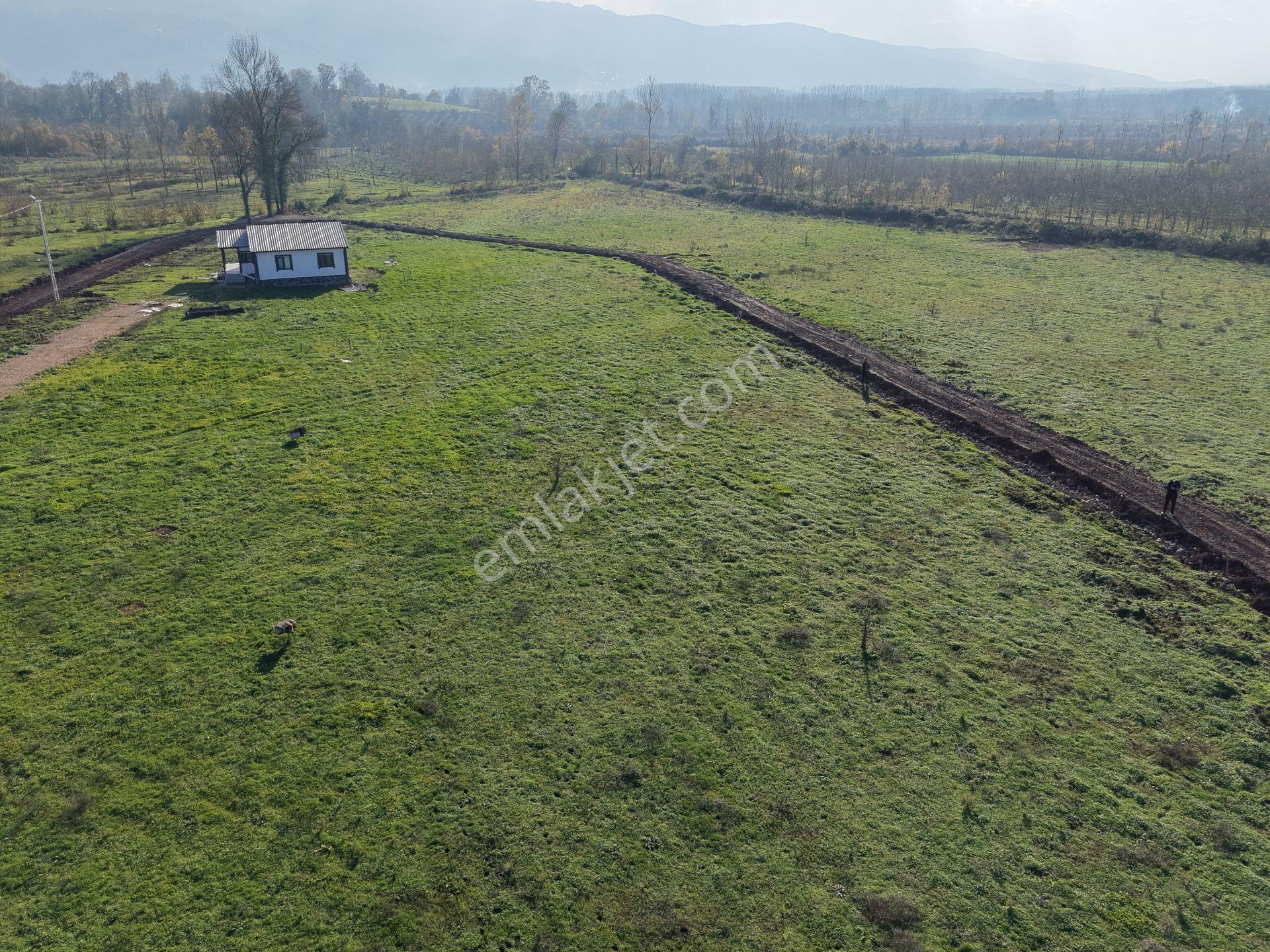 Emlakevim - Sakarya Hendek Sarıyer Mah.de Satılık İmarlı Arsa - - Görsel 7
