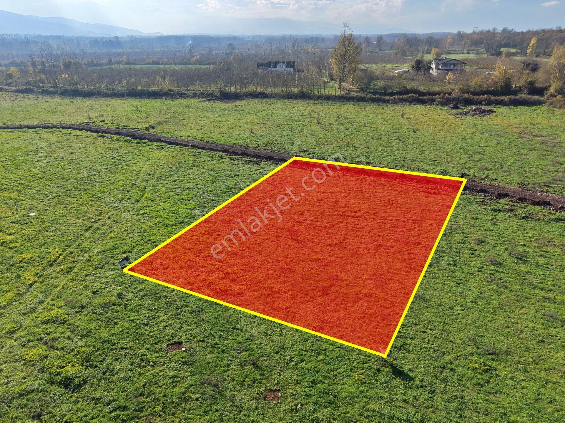 Emlakevim - Sakarya Hendek Sarıyer Mah.de Satılık İmarlı Arsa - - Görsel 11