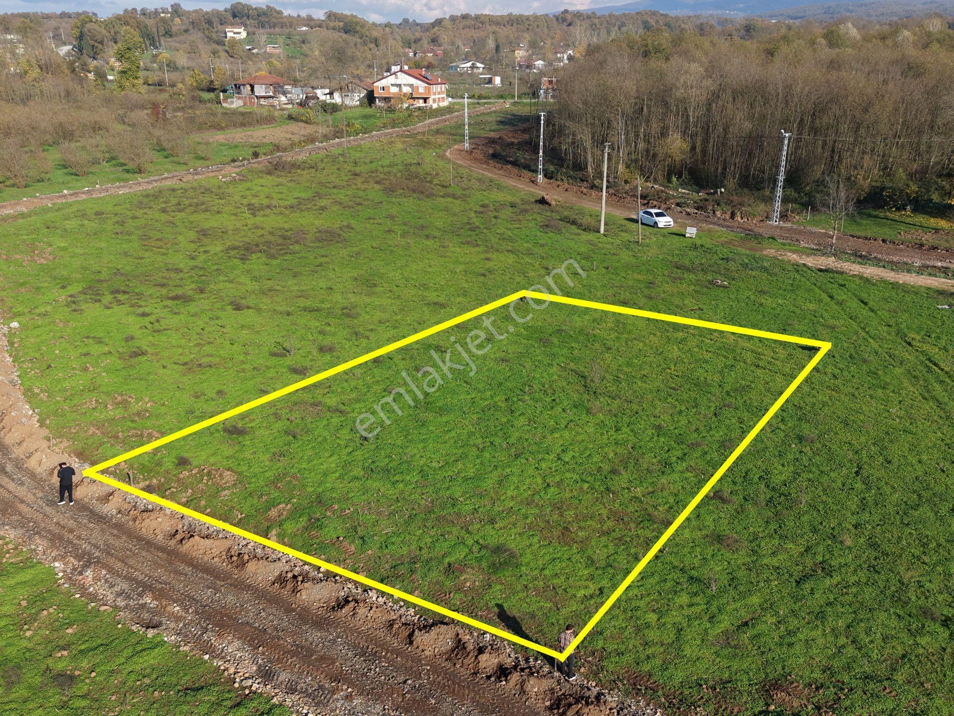 Emlakevim - Sakarya Hendek Sarıyer Mah.de Satılık İmarlı Arsa - - Görsel 20