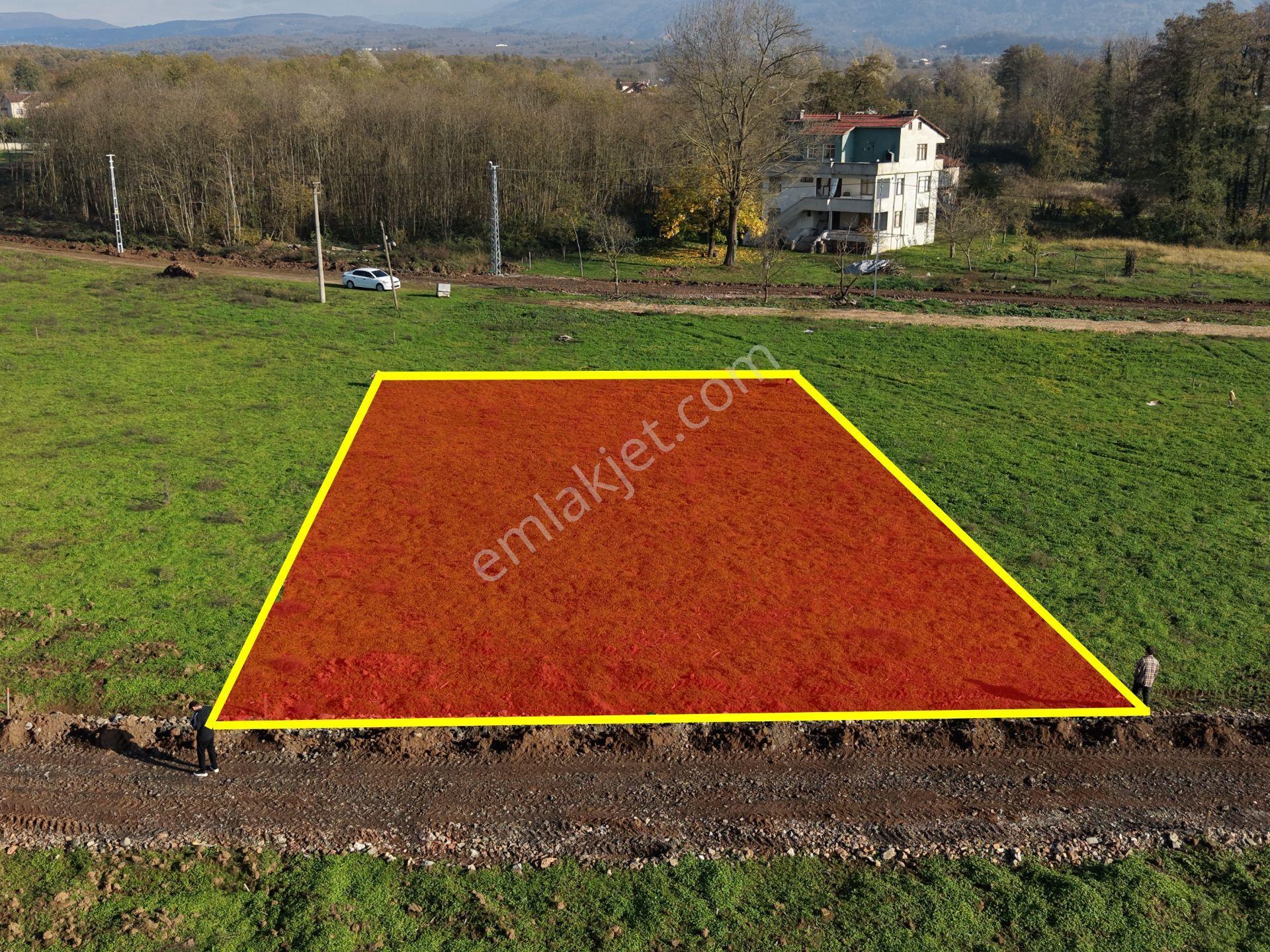 Emlakevim - Sakarya Hendek Sarıyer Mah.de Satılık İmarlı Arsa -