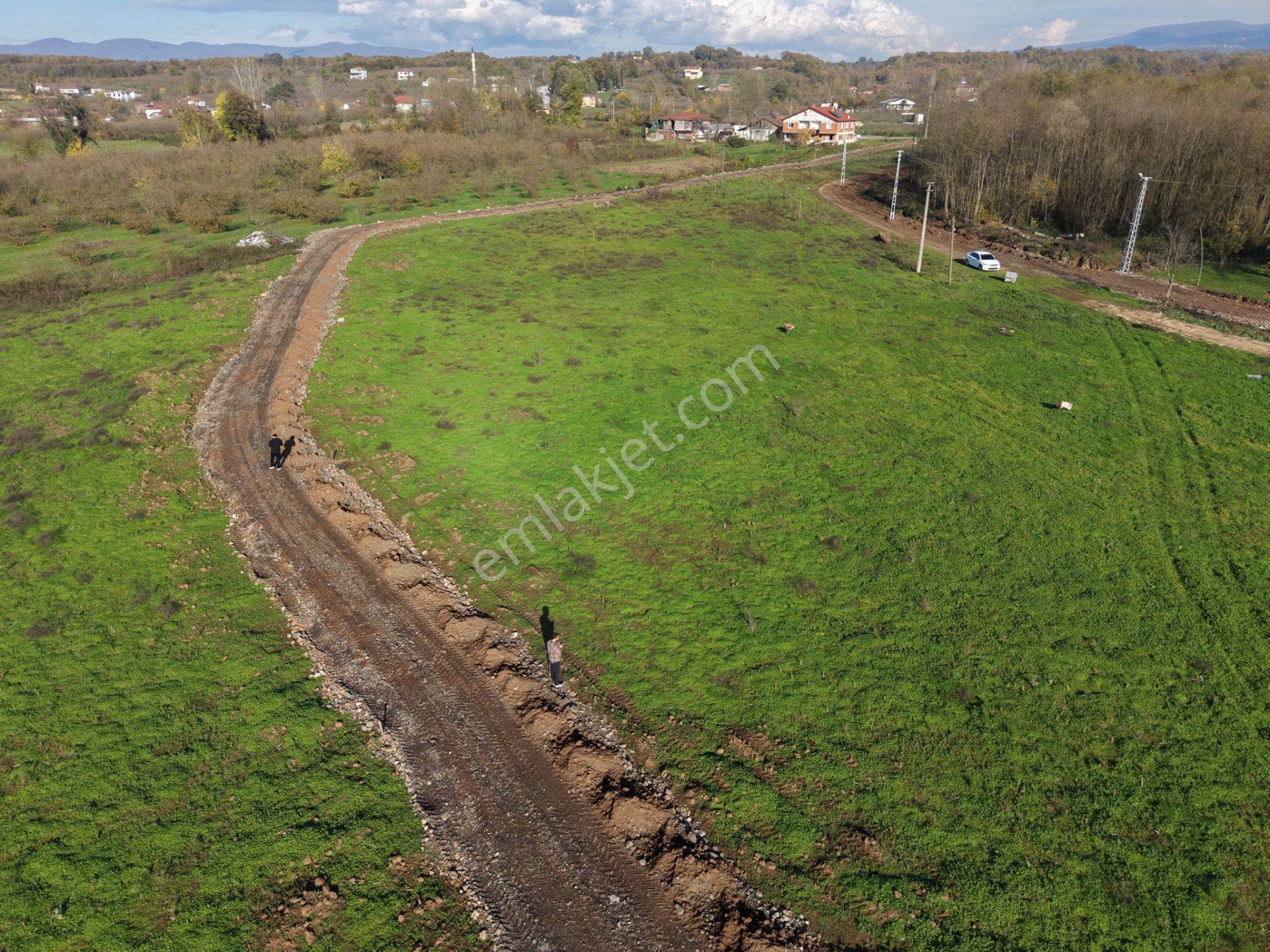 Emlakevim - Sakarya Hendek Sarıyer Mah.de Satılık İmarlı Arsa - - Görsel 15