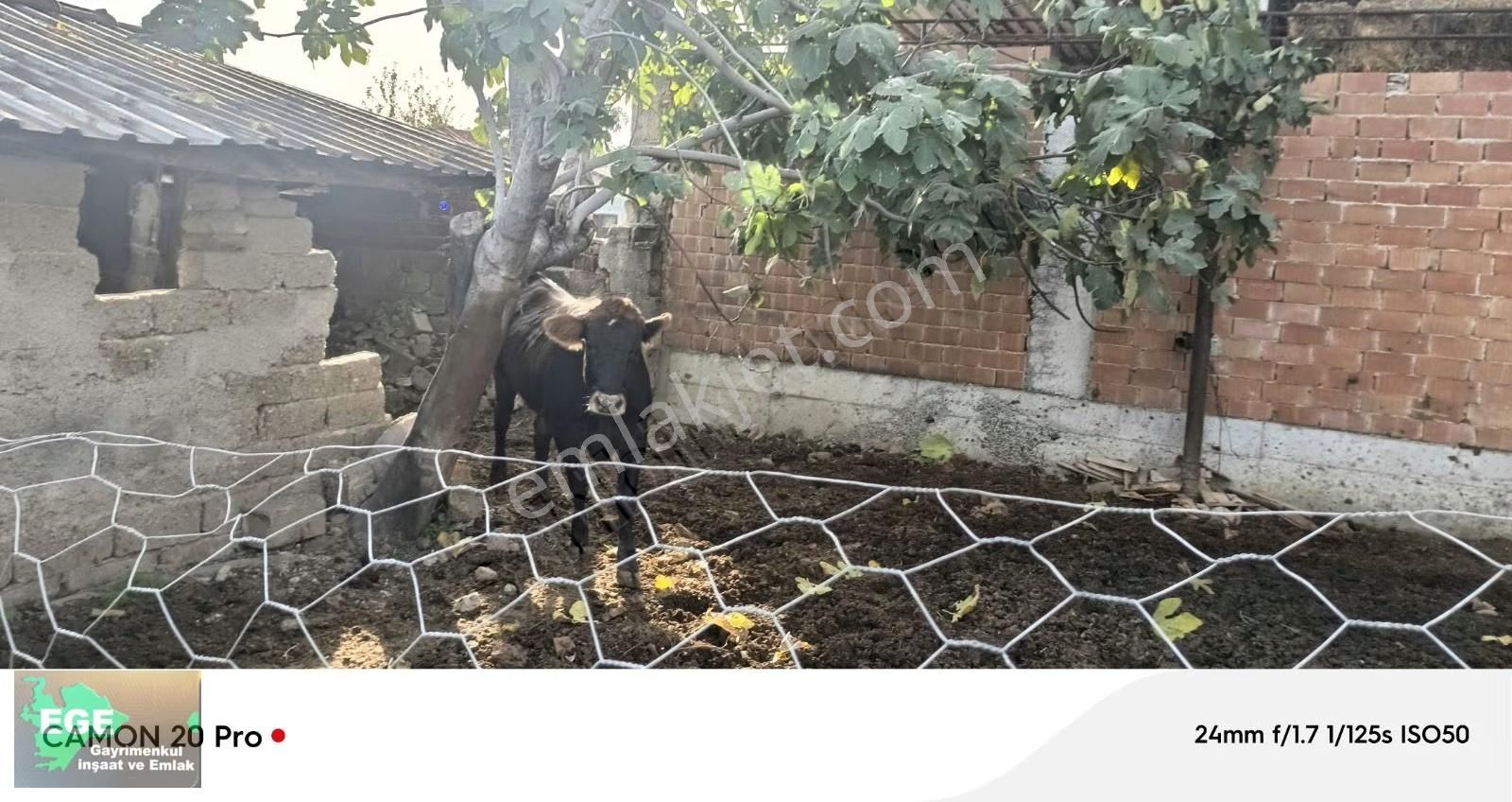 Ege Emlâk Tan Germencik Te Satılık Müstakil Ev - Görsel 5