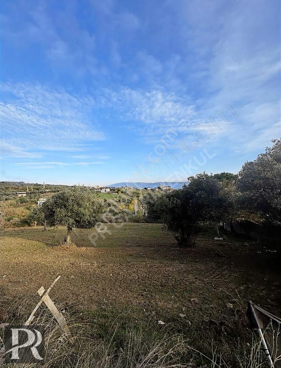 P&r Gayrimenkul'den Satılık Hamamlı Mah. Deniz Manzaralı Arsa - Görsel 7