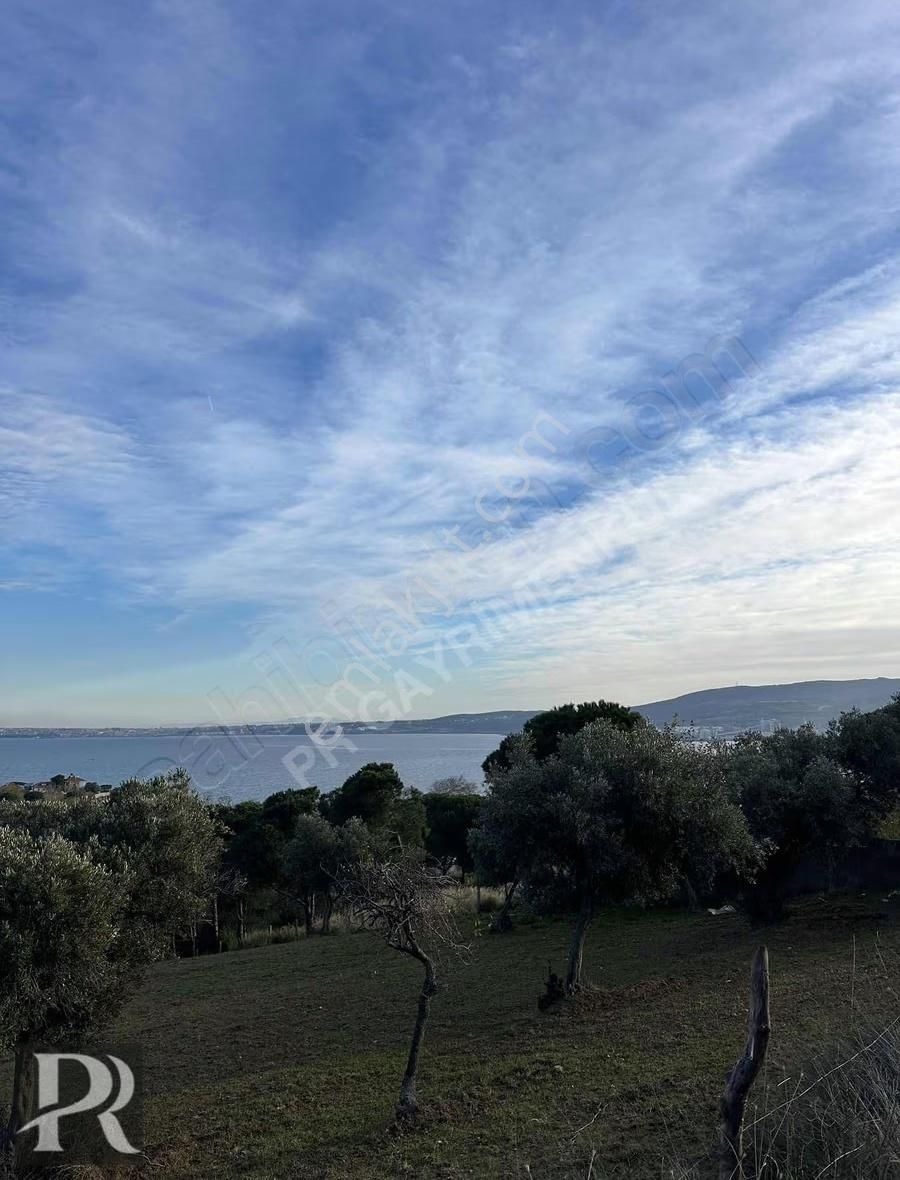 P&r Gayrimenkul'den Satılık Hamamlı Mah. Deniz Manzaralı Arsa - Görsel 10