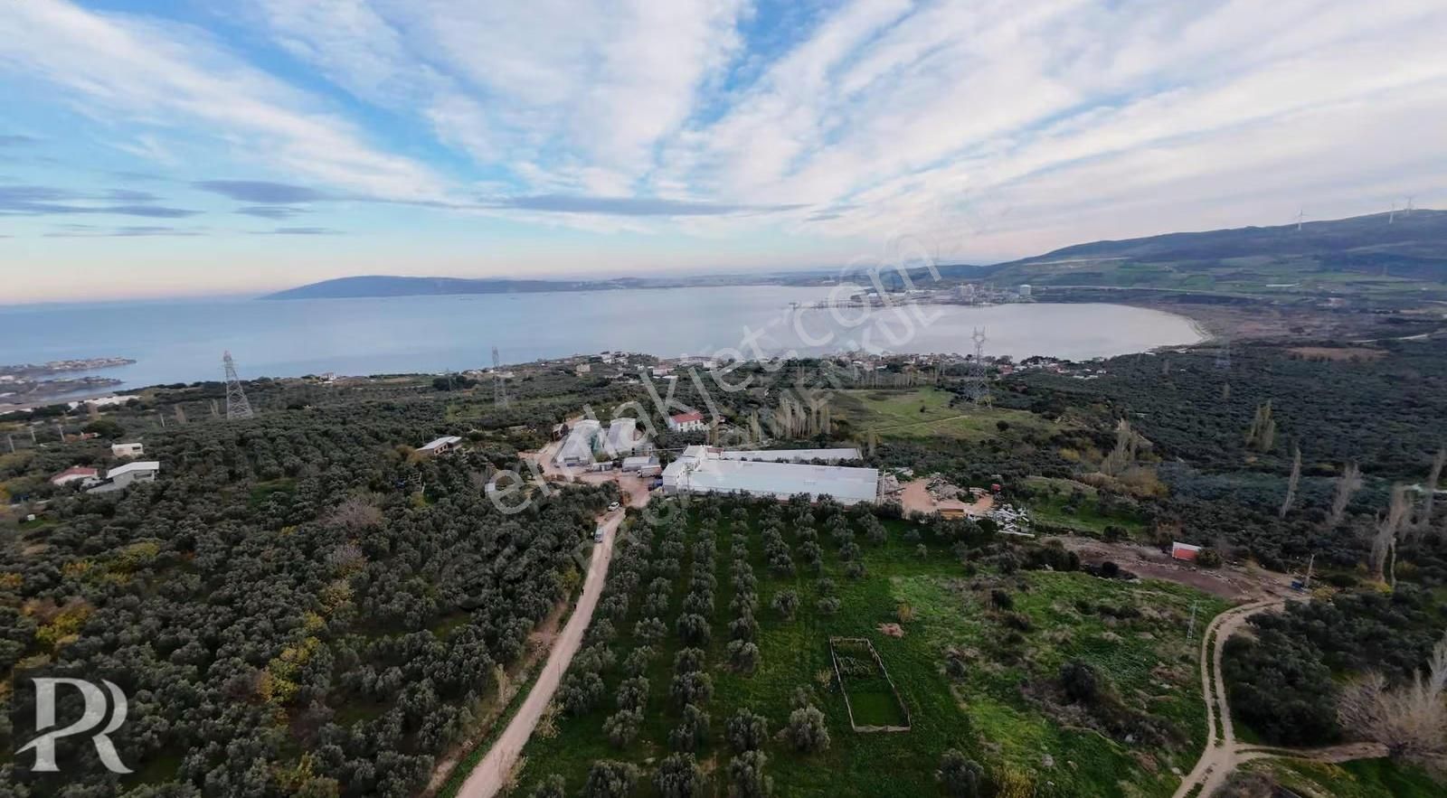 P&r Gayrimenkul'den Hamamlı'da Deniz Manzaralı Satılık Zeytinlik