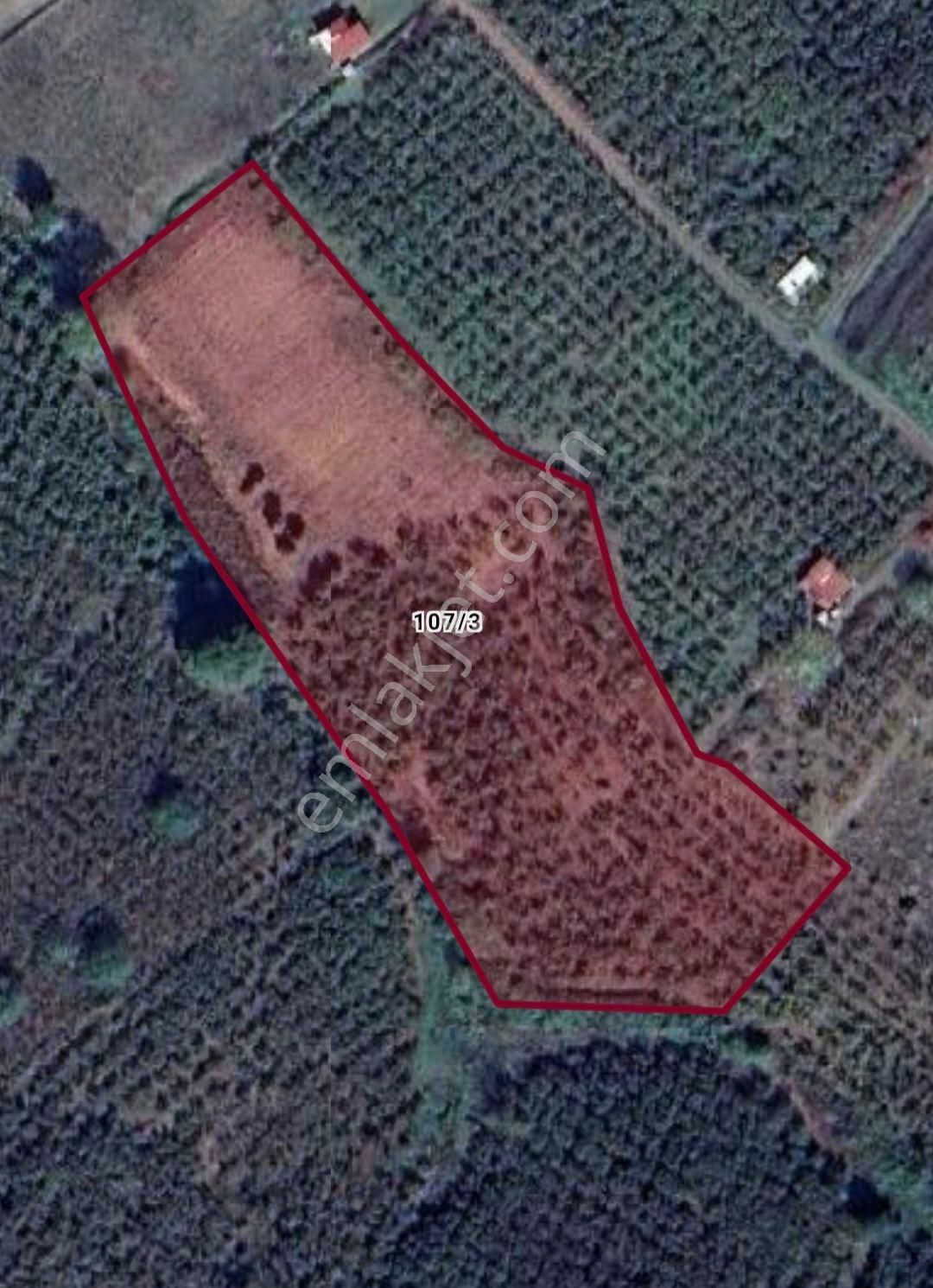 Sakarya Ferizli Nalköyde Yatırmlık Fındık Bahçesi Avcıoğlu Grup - Görsel 10