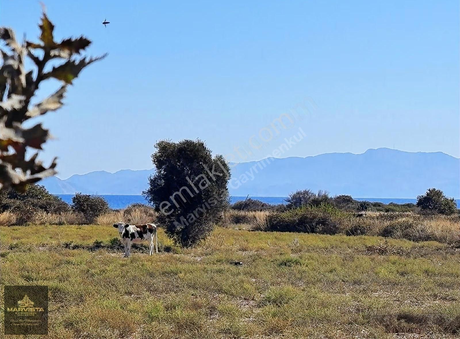 Muğla Datça Kızlan Mahallesi'nde Geleceğe Yatırım Fırsatı