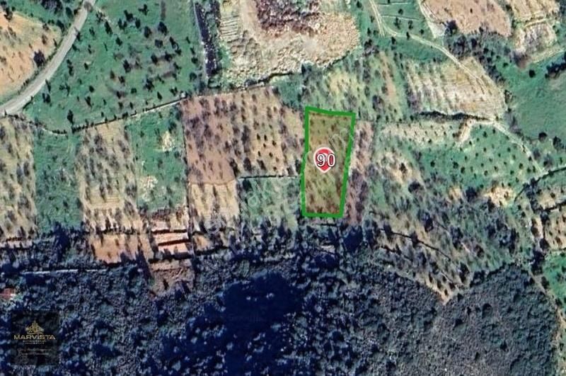 Muğla Datça Yazı Mahallesi'nde Satılık Araziler - Görsel 8