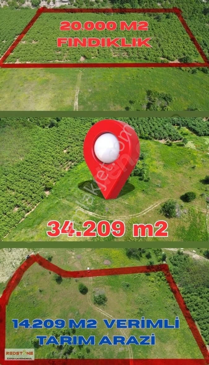 Karasu Yassıgeçit Yola Yakın Toplam 34 Dönüm 20si Fındıklık - Görsel 6