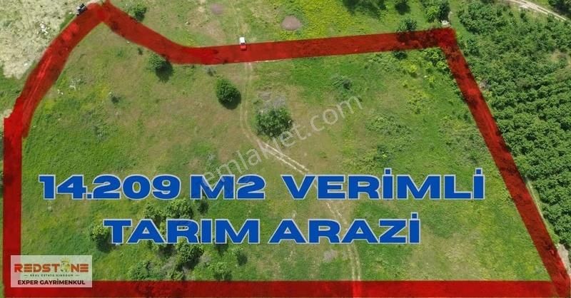 Karasu Yassıgeçit Yola Yakın Toplam 34 Dönüm 20si Fındıklık - Görsel 7